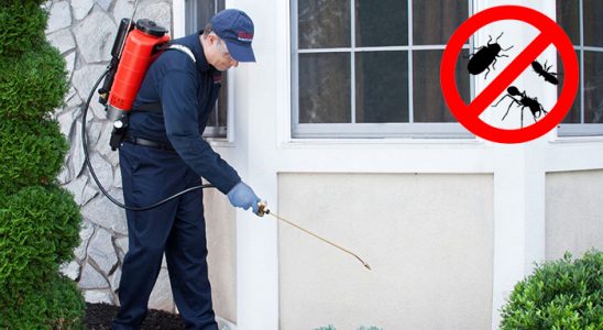 Hocalar Tahtakurusu İlaçlama böcek ilaçlama ve haşere kontrolü — ilaclama-tr.com